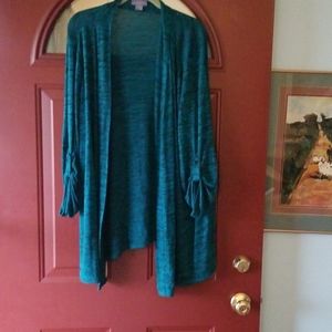 Laura Scott plus size sweater